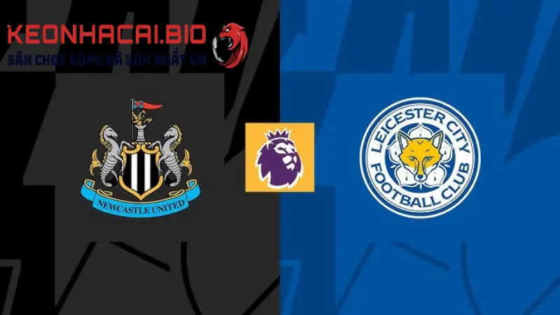 Soi kèo Newcastle vs Leicester (2h ngày 23/5) – vòng 37 Ngoại Hạng Anh 2022/23 tại keonhacai.bio