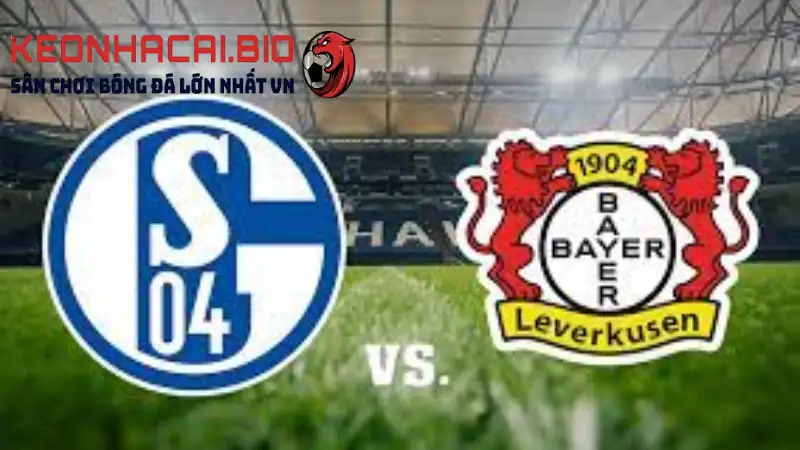 Soi kèo Schalke vs Leverkusen 20h30 ngày 01/04 VĐQG Đức tại Keonhacai.bio