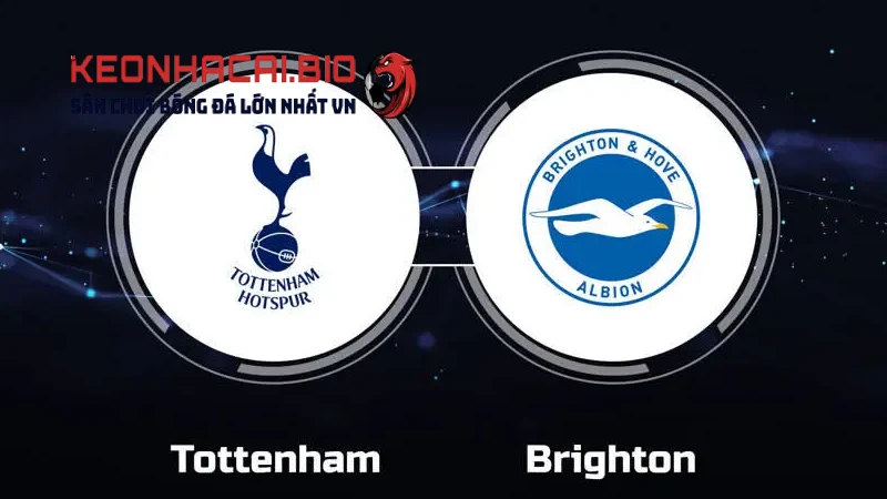 Nhận định Tottenham Vs Brighton 22h00 Ngày 25/05/2025
